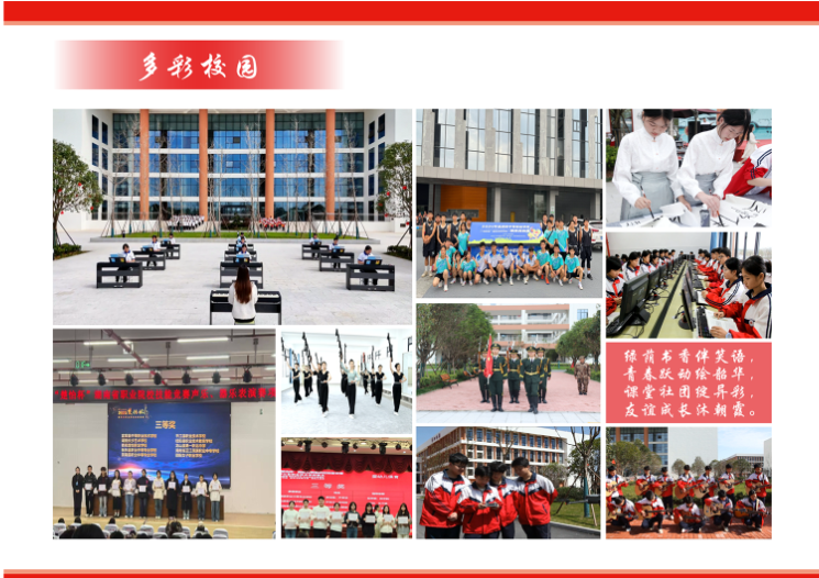 公办中职湖南省茶陵县职业中等专业学校2025年招生简章